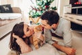 Couple in love lying by Christmas tree and playing with cat at home. Man and woman kissing pet Royalty Free Stock Photo