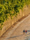 Couple in love in Rome at sunset