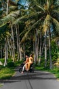 A couple in love on a scooter among the palm trees. Happy couple on vacation in Bali. The couple travels the world. Vacation