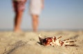 Couple in love with seashells on the shore of the sea Royalty Free Stock Photo