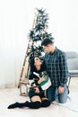 Couple in love sitting near Christmas tree and playing with cat at home Royalty Free Stock Photo