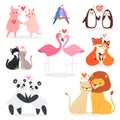 Couple in love vector animal lovers characters panda or cat on loving date on Valentines day and flamingo kissing loved