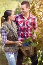 Couple in love in vineyard, season of the grape harvest