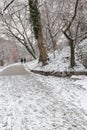 Couple in love walking in the snow