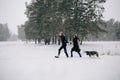 Couple in love walking with their Husky dog Royalty Free Stock Photo