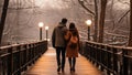 Couple in love walking on a wooden bridge in a winter park
