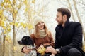Couple in love on a warm autumn day walks in the Park with a cheerful dog Spaniel. Love and tenderness between a man and a woman Royalty Free Stock Photo