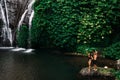 A couple in love at a waterfall in Indonesia. A couple in love in the tropics. Beautiful couple traveling on the island of Bali. Royalty Free Stock Photo