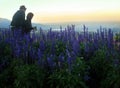Couple lovely at landscape with high wild grass and purple flowers on the hill in high mountain