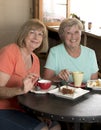 Couple of lovely middle age senior mature women girlfriends meeting for coffee and tea with cakes at coffee shop sharing time Royalty Free Stock Photo