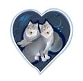 Couple of lovely wolves in love. Stylized heart symbol decoration. Valentine Day greeting card. Print for t-shirts, fabric, Royalty Free Stock Photo