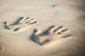 Couple of lovers at a beautiful sunset over the ocean. Couple on a romantic vacation. Imprint pair of hands in the sand, wedding r Royalty Free Stock Photo