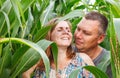 Couple of lovers canoodle in the corn field Royalty Free Stock Photo