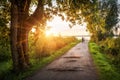 A couple of lovers goes to a lake in the town of Galich in the Kostroma region along an alley