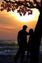 Couple lovers under a tree leaning against the tree trunk at the seashore at sunset Royalty Free Stock Photo