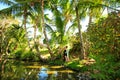 Couple of lovers stands on Bank of pond under palm