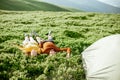 Couple lying on the green meadow in the mountains