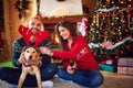 Couple making fun with puppy Royalty Free Stock Photo