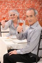 Couple making a toast Royalty Free Stock Photo