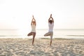 Couple making yoga exercises outdoors from back Royalty Free Stock Photo