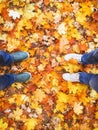 Couple male woman legs sneakers outdoor autumn leaves background lifestyle Fashion