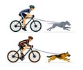 Couple, Man and Woman bikejoring with their dogs vector illustration.