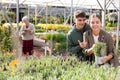 Couple man and woman choosing lavender in flower shop Royalty Free Stock Photo