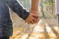 Couple of man and woman holding hands on a walk Royalty Free Stock Photo