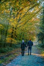 couple man and woman mid age walking in the forest during Autumn season in nature trekking with orange red color trees Royalty Free Stock Photo