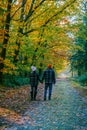 couple man and woman mid age walking in the forest during Autumn season in nature trekking with orange red color trees Royalty Free Stock Photo