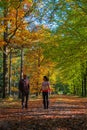 couple man and woman mid age walking in the forest during Autumn season in nature trekking with orange red color trees Royalty Free Stock Photo