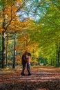 couple man and woman mid age walking in the forest during Autumn season in nature trekking with orange red color trees Royalty Free Stock Photo