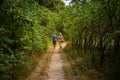 The couple man and woman walking in the forest. Path, way Royalty Free Stock Photo