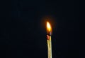 Couple of matches burning together with heat flame isolated on a black background. Royalty Free Stock Photo