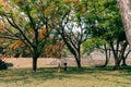 couple in Mayan ruins in Palenque, Chiapas, Mexico. Royalty Free Stock Photo