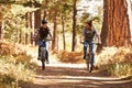 Couple mountain biking through forest, Big Bear, California