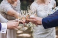 Couple of newlyweds, bride and groom together with bridesmaids and groomsmen drinking champagne outdoors hands closeup, wedding
