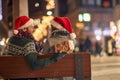 Couple outdoor in winter.man and woman sharing love