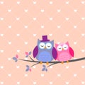 Couple owls in love