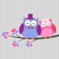 Couple owls in love