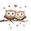 Couple of owls in love on a white background and message Royalty Free Stock Photo