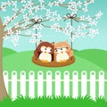 Couple owls on swing