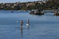 Paddling at Rose Bay in Sydney Harbour, Australia