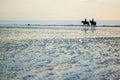 Couple on a pair of horses in Deauville, France Royalty Free Stock Photo