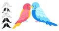 Couple parrots tropical bright childish cartoon set exotic lovers sitting outline sign collection