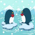 Couple penguin holding heart, Greeting card vector illustration Royalty Free Stock Photo