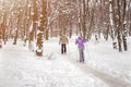 Couple of people enjoying cross-country skiing in city park or forest in winter. Family Sport outdoor activities in winter season Royalty Free Stock Photo