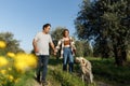 Couple with pet ,golden retriever dog, walking along path across field in countryside Royalty Free Stock Photo