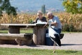 Couple picnicking