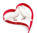 Couple pigeons and ribbon